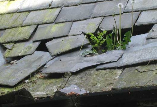 slipped-broken-roof-tiles