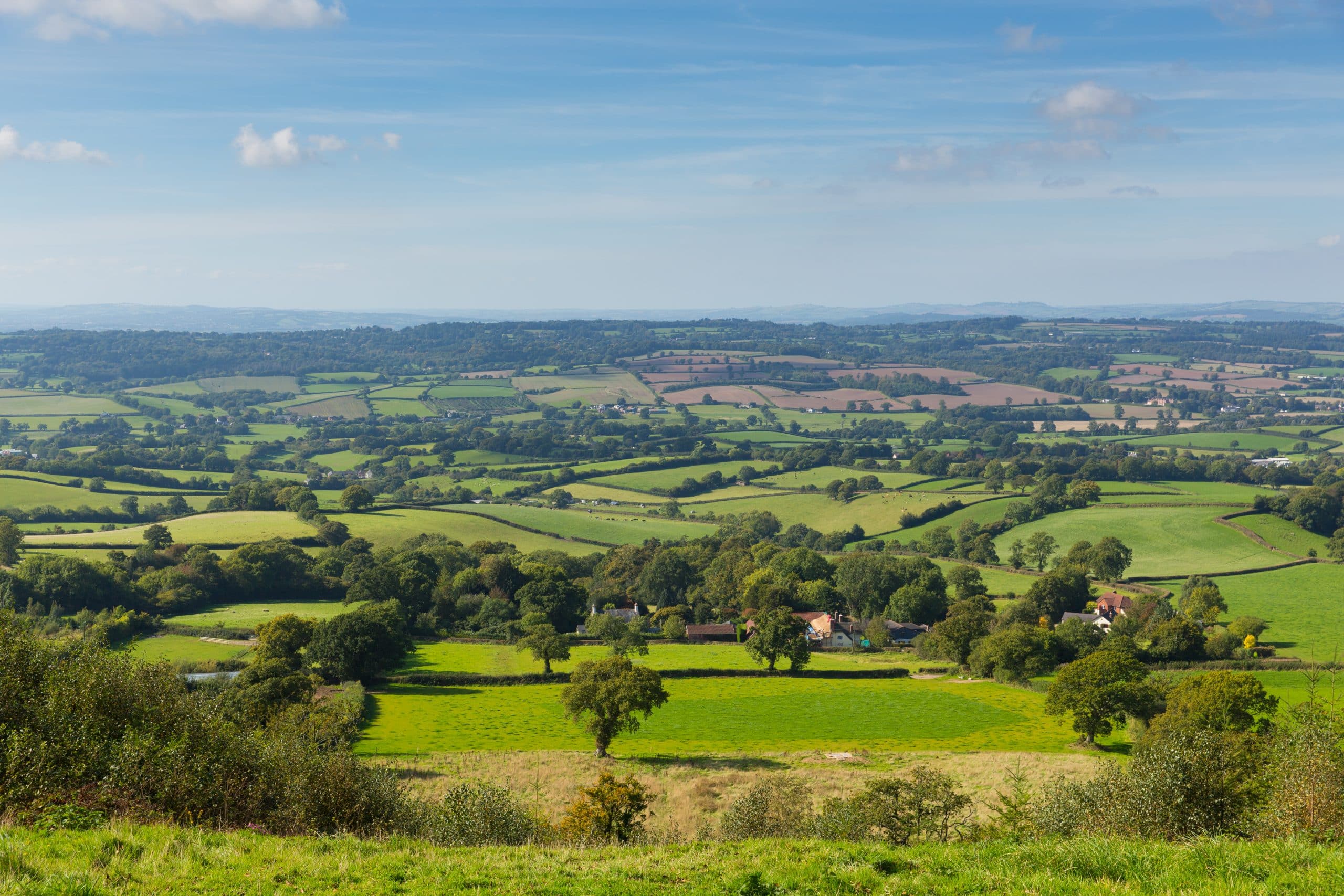 Countryside 15 – Jan 20
